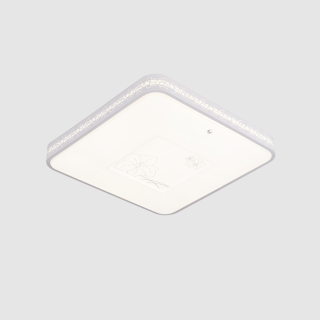 MKX01003-2
